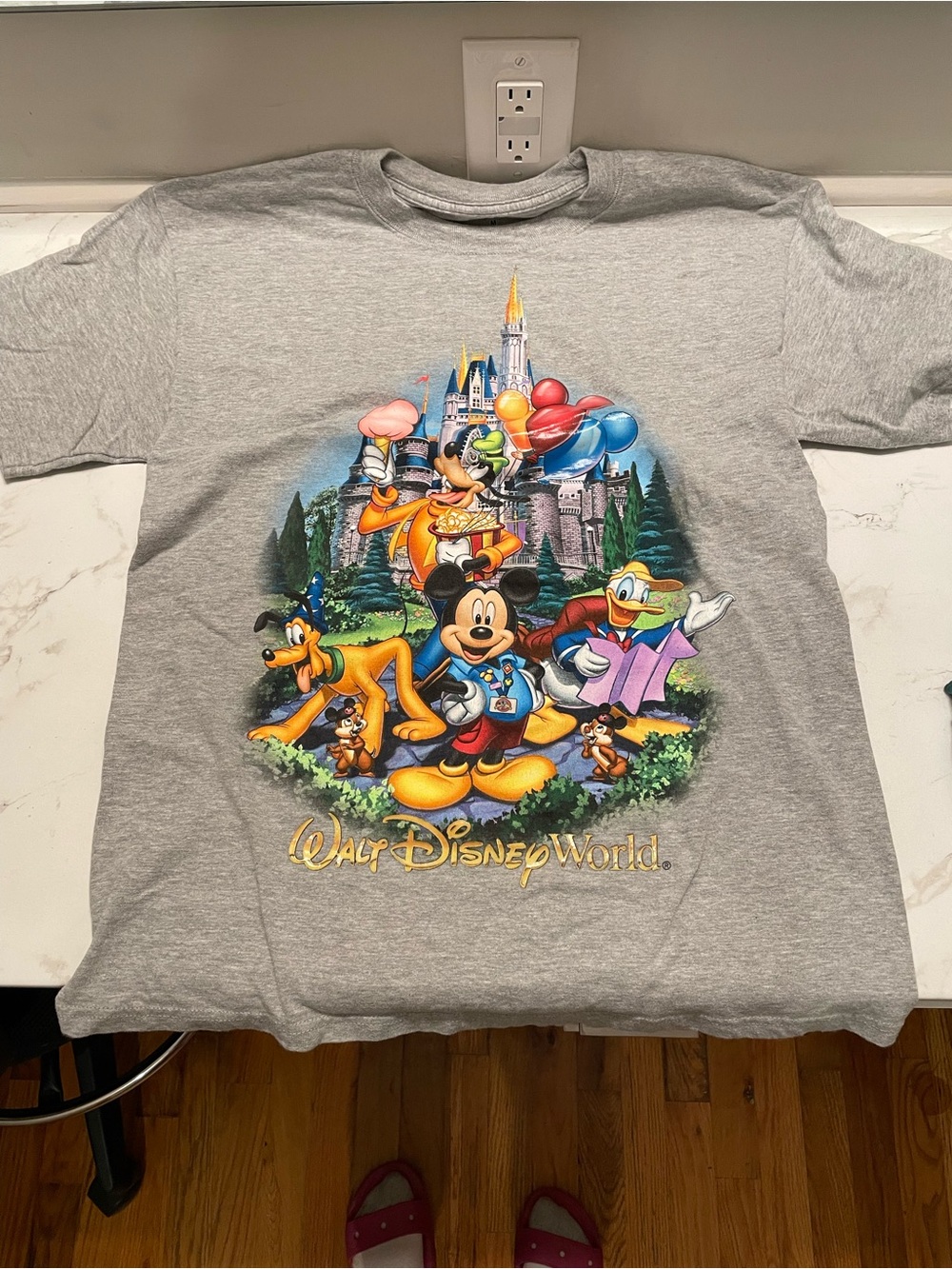 Hanes Gray Walt Disney World Character Graphic Tee